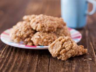 Easy Bake Oven Oatmeal Cookie Mix