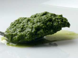 Green Chutney ( Indian Mint - Cilantro Chutney )