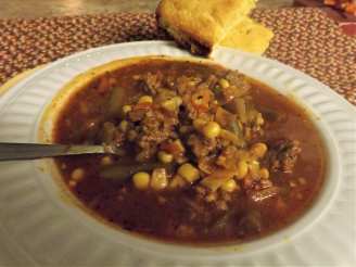 Zesty Beef and Cole Slaw Soup
