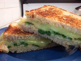 Spinach and Havarti Sandwiches on Multigrain Bread