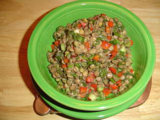 Warm Lentil Salad With Onion, Peppers, and Spinach