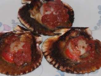 BBQ Scallops in Shell With Tomato