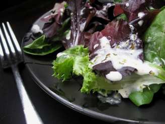 Mixed Baby Greens With Creamy Dressing