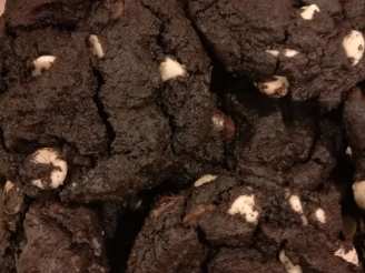 Domino Cookies (Chocolate Chocolate Chip)