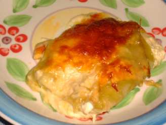 Delicious Chicken & Cheese Enchiladas