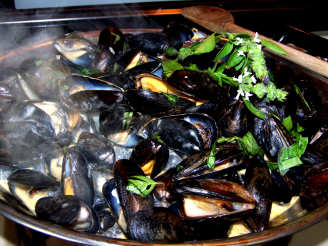 Thai  Steamed Mussels