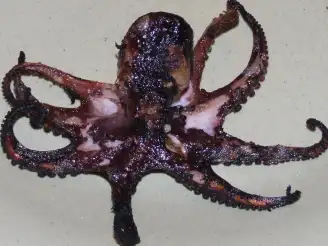 BBQ Garlic Octopus
