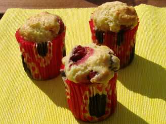 Orange-Cranberry Muffins for Diabetics
