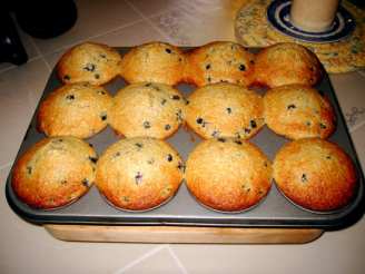 Yummy  Large  Blueberry Oat Bran Muffins