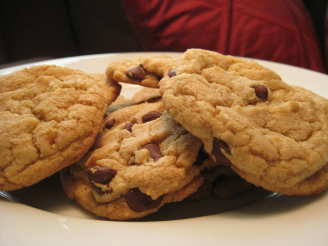 Chewy Choco-Chip Cookies