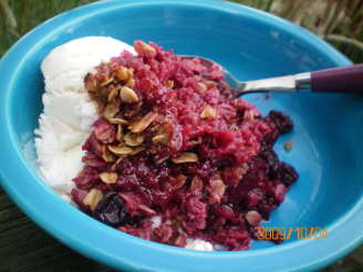 Baked Blackberry, Blueberry and Fudge Oatmeal With Pecan Crumble