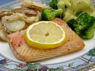 Grilled Salmon or Halibut