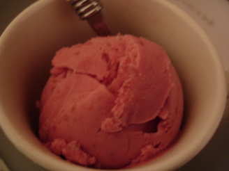 Vegan Raspberry Ice Cream