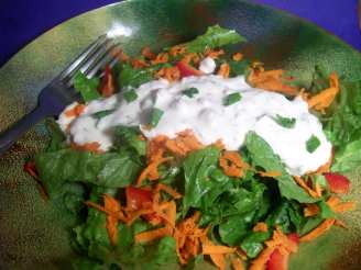 Clemson Blue Cheese Salad Dressing