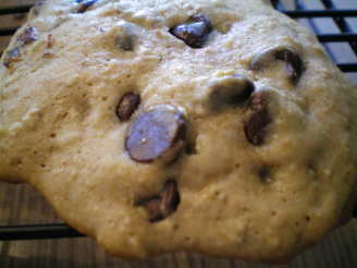 The Best Lower Fat Chocolate Chip Cookies