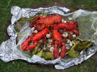 Clam - Lobster Bake