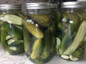 Nana Mae's Garlic Dill Pickles