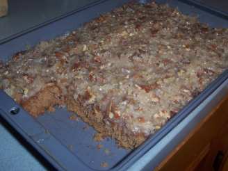 Sarah 's Oatmeal Cake With Coconut Pecan Frosting