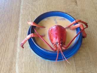Maine Lobster Stew