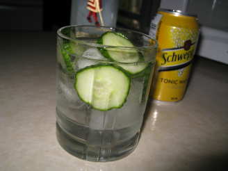 Cucumber Gin and Tonic