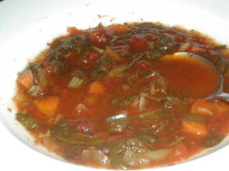 Weight Watchers Tomato Spinach Slow Cooker "0 Point" S