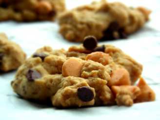 Easy Peanut Butter & Chocolate Chip Cookies