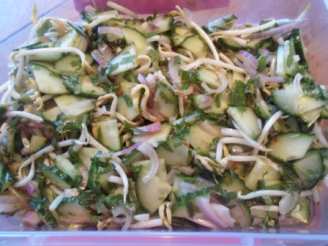 Cucumber, Bean Sprout and Red Onion Salad