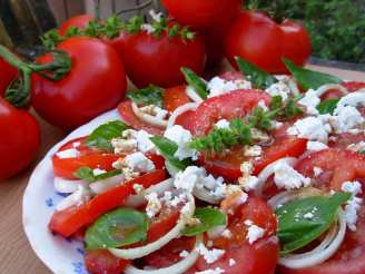 Vine Ripened Tomato, Sweet Onion and Basil Salad