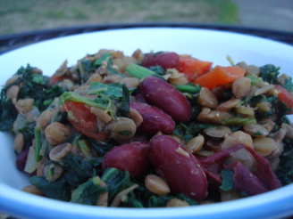 Kidney Bean and Spinach Curry