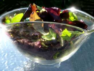 Basic Salad Mix (Salad Spinner)