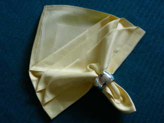 Serviette/Napkin,  Soft and Sophisticated