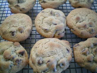 The Essential Chewy Chocolate Chip Cookies
