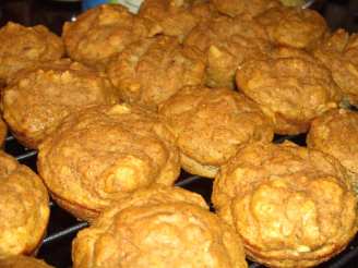 Protein Pumpkin Flax Mini Loaves or Muffins