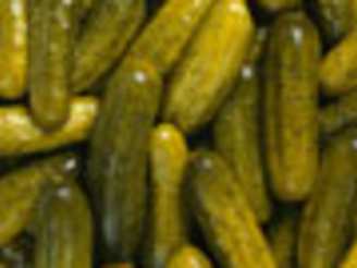 Deli Pickles - Half Sours
