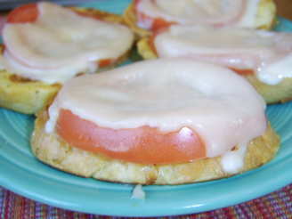 Tomato Lunch Toasts