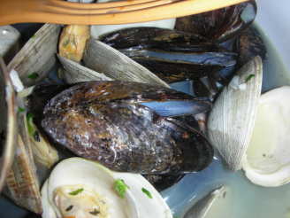 Mussels Mariniere