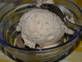 Nitko’s Simple Vanilla Ice-Cream (Without Machine)
