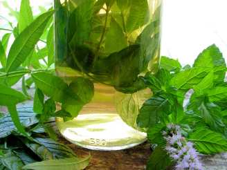 Herbal Vinegar With Lemon Verbena & Mint