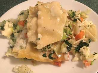 Vegetable Lasagna With White Sauce