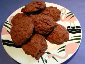 Healthy Whole Wheat Molasses Cookies