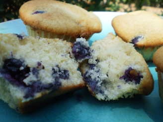 Very Berry Blueberry Muffins