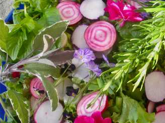 Elizabethan English Herb and Flower Salad With Honey Dressing