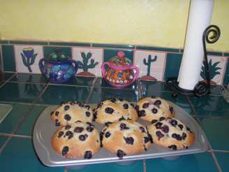 CopyCat Junior's "Berries on Top" Jumbo Blueberry Muffins