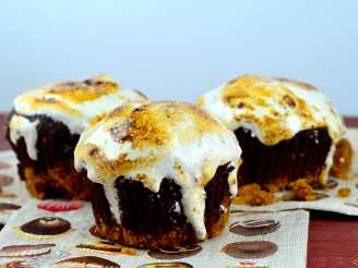 Chocolate Graham Cracker Cupcakes With Toasted Marshmallow
