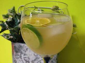 Lemon-Lime Iced Tea