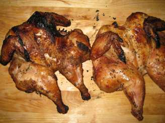 Grilled Herbed Cornish Game Hens