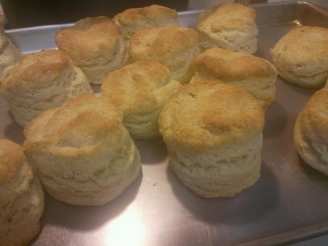 Homestyle Biscuits