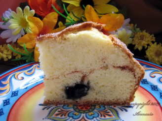 Less Pudge Blueberry Coffee Cake