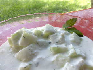 Cucumber Salad With Yogurt (Middle East, Palestine)