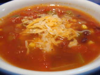 Spicy Southwestern Vegetable Soup